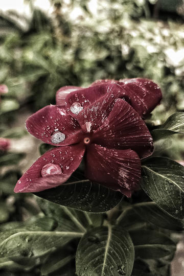 汪苏泷音乐节首唱《像晴天像雨天》